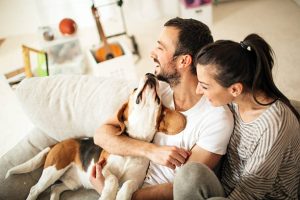 Cách giữ cho ngôi nhà luôn ấm áp trong mùa đông này